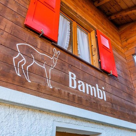 格雷兴Chalet Bambi "Marchenhaft"公寓 外观 照片