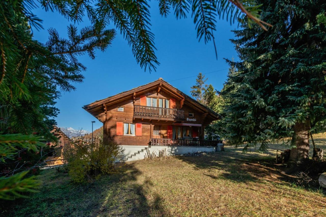 格雷兴Chalet Bambi "Marchenhaft"公寓 外观 照片